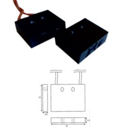 Magnetic Proximity Switches